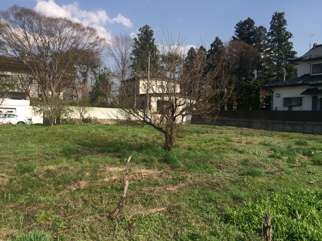 桜ヶ丘土地3